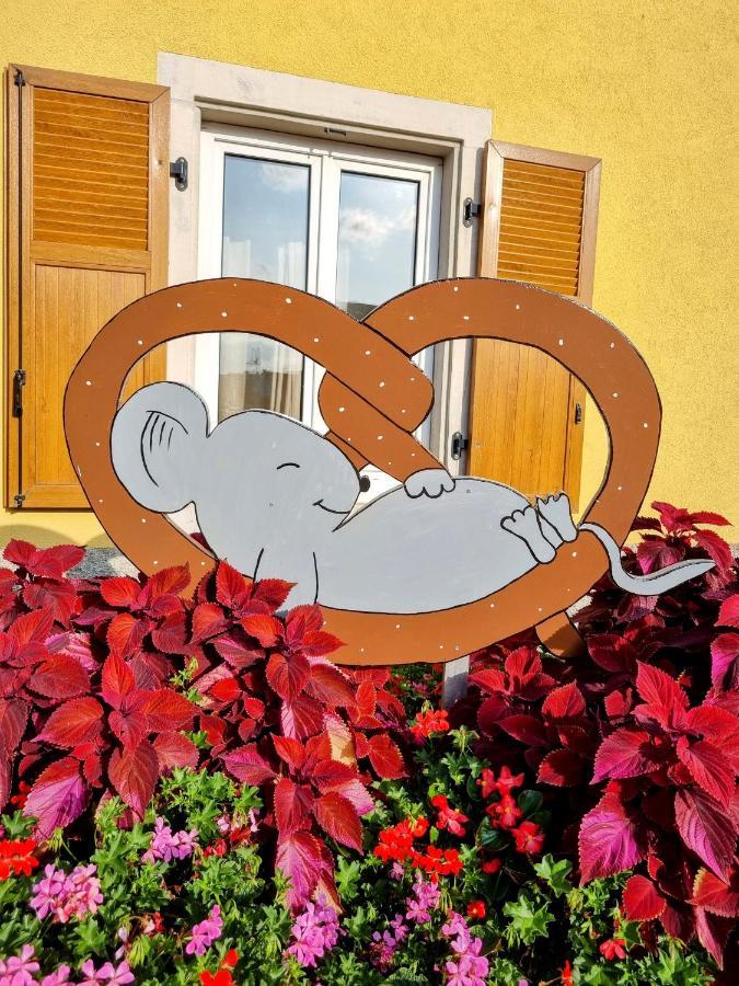 Appartamento Cosy Bretzel Gresswiller Esterno foto